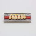 Tablilla de Dientes Vipi Dent Plus Anteriores Superiores 3M 62