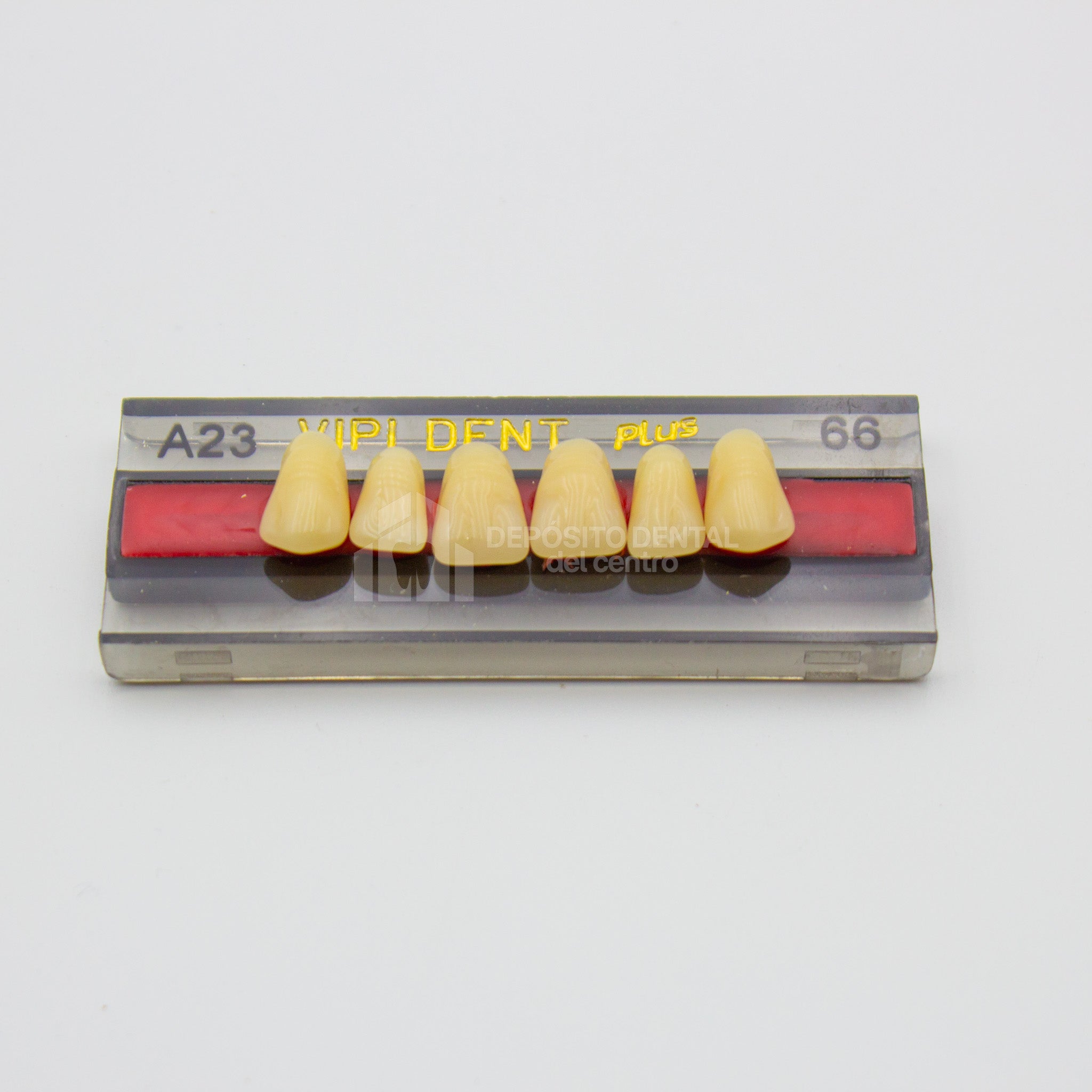 Tablilla de Dientes Vipi Dent Plus Anteriores Superiores A23 66