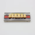 Tablilla de Dientes Vipi Dent Plus Anteriores Superiores 2D 62