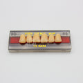 Tablilla de Dientes Vipi Dent Plus Anteriores Superiores 2D 65