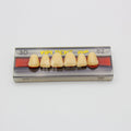 Tablilla de Dientes Vipi Dent Plus Anteriores Superiores 3D 62