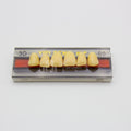 Tablilla de Dientes Vipi Dent Plus Anteriores Superiores 3D 66