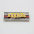 Tablilla de Dientes Vipi Dent Plus Anteriores Superiores 3D 77