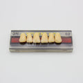 Tablilla de Dientes Vipi Dent Plus Anteriores Superiores 2N 62