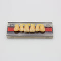 Tablilla de Dientes Vipi Dent Plus Anteriores Superiores 2N 65