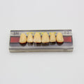 Tablilla de Dientes Vipi Dent Plus Anteriores Superiores 3N 62