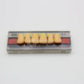 Tablilla de Dientes Vipi Dent Plus Anteriores Superiores 3N 65