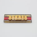 Tablilla de Dientes Vipi Dent Plus Anteriores Superiores 263 65