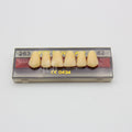 Tablilla de Dientes Vipi Dent Plus Anteriores Superiores 263 62