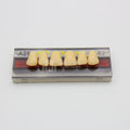 Tablilla de Dientes Vipi Dent Plus Anteriores Superiores A25 62