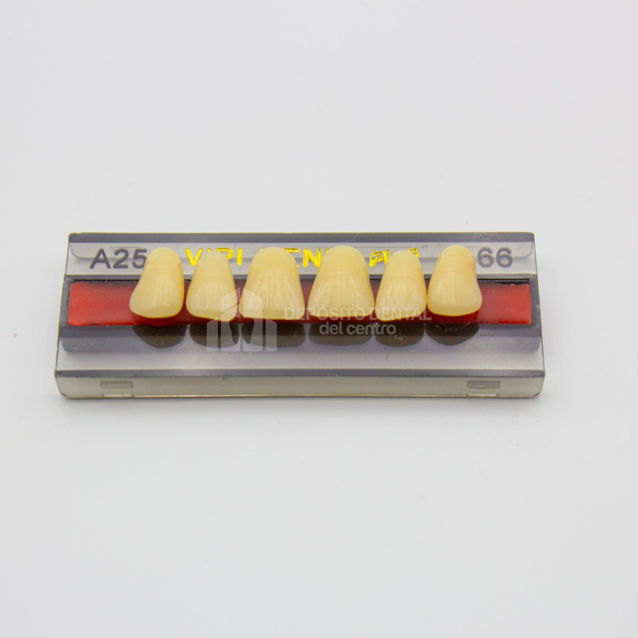Tablilla de Dientes Vipi Dent Plus Anteriores Superiores A25 66