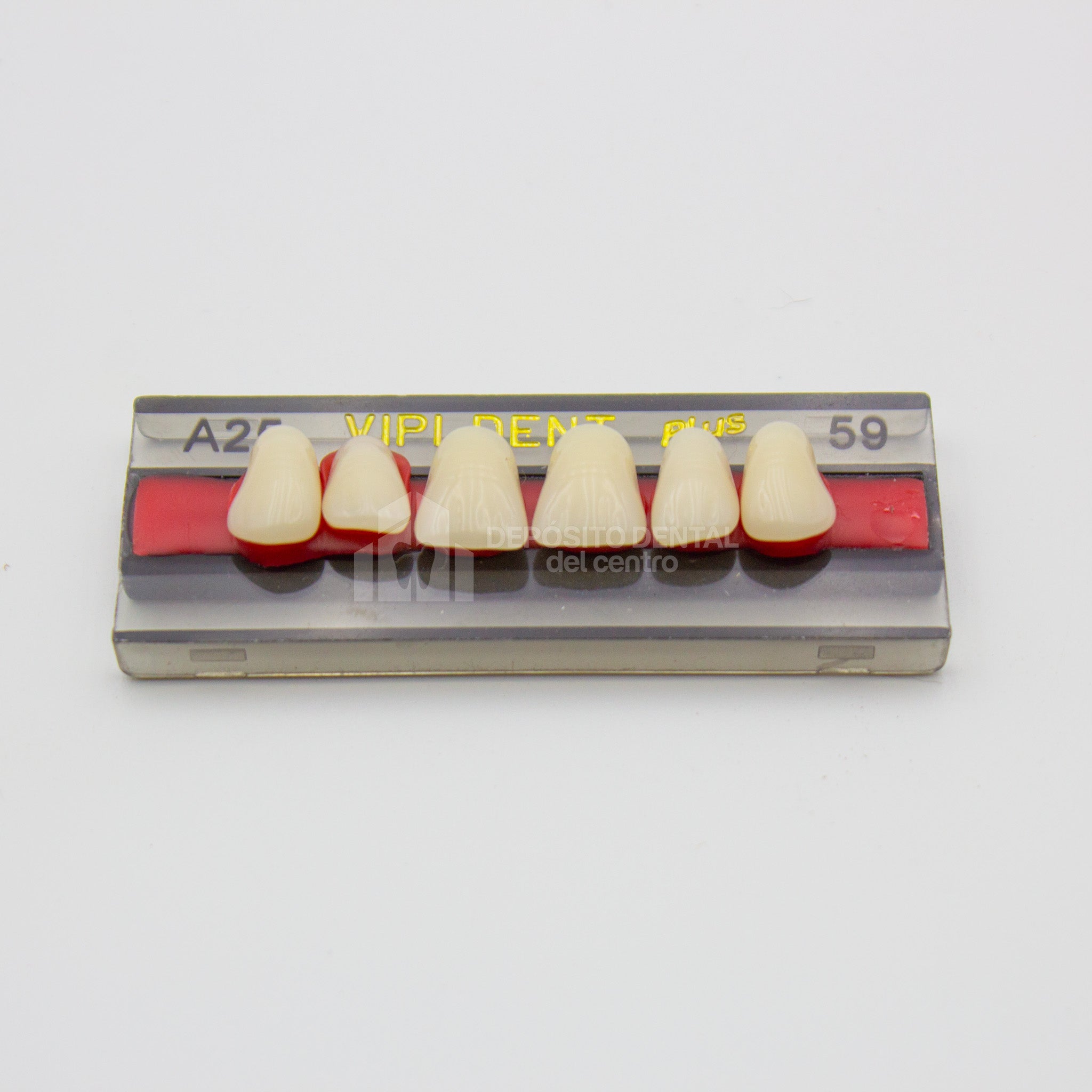 Tablilla de Dientes Vipi Dent Plus Anteriores Superiores A25 59