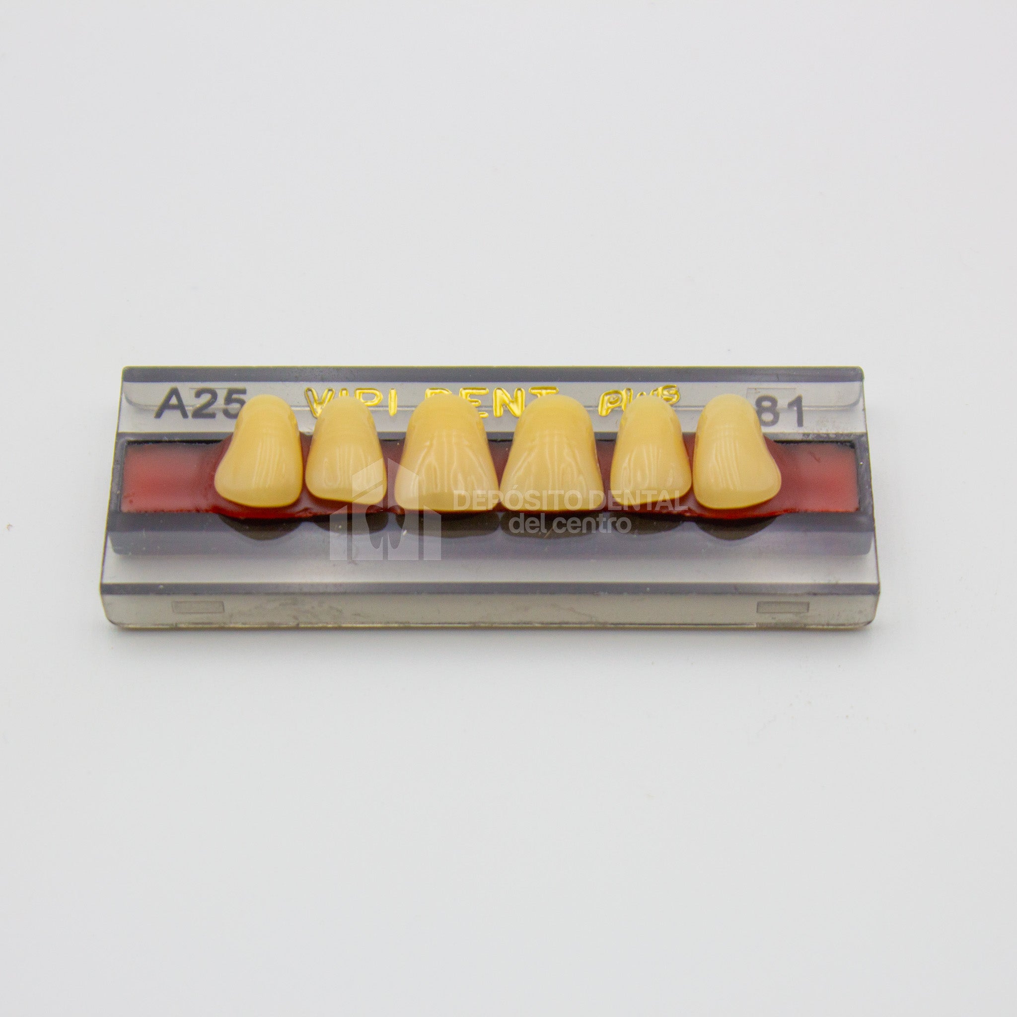 Tablilla de Dientes Vipi Dent Plus Anteriores Superiores A25 81