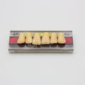 Tablilla de Dientes Vipi Dent Plus Anteriores Superiores 2P 62