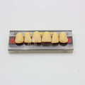 Tablilla de Dientes Vipi Dent Plus Anteriores Superiores 38 62