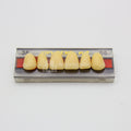 Tablilla de Dientes Vipi Dent Plus Anteriores Superiores 38 66
