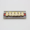 Tablilla de Dientes Vipi Dent Plus Anteriores Superiores 38 59