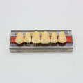 Tablilla de Dientes Vipi Dent Plus Anteriores Superiores 266 62