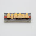Tablilla de Dientes Vipi Dent Plus Anteriores Superiores 266 65