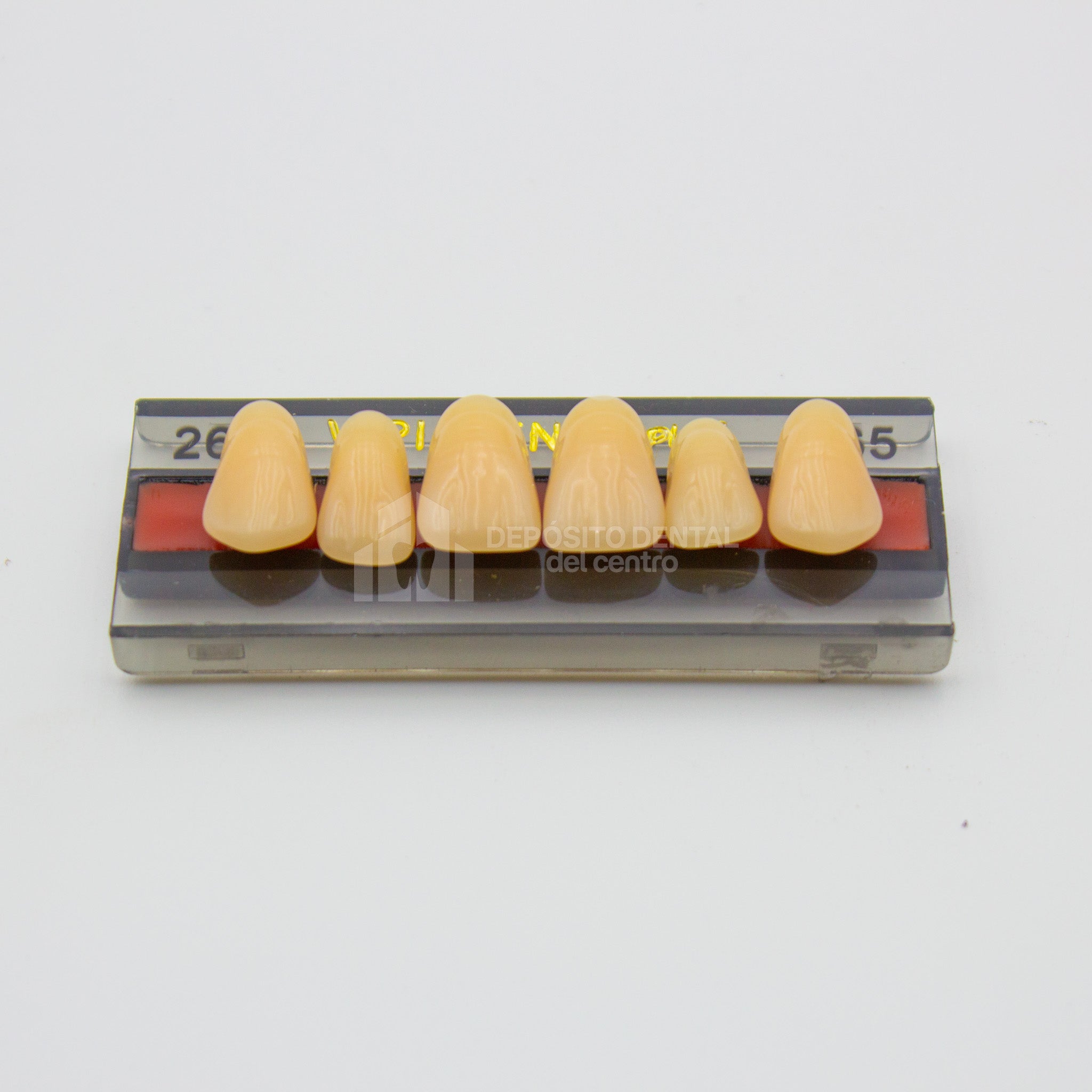 Tablilla de Dientes Vipi Dent Plus Anteriores Superiores 266 65