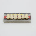 Tablilla de Dientes Vipi Dent Plus Anteriores Superiores 266 59