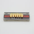 Tablilla de Dientes Vipi Dent Plus Anteriores Inferiores 3M 62