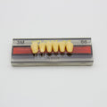 Tablilla de Dientes Vipi Dent Plus Anteriores Inferiores 3M 66