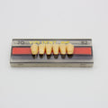 Tablilla de Dientes Vipi Dent Plus Anteriores Inferiores 2D 62