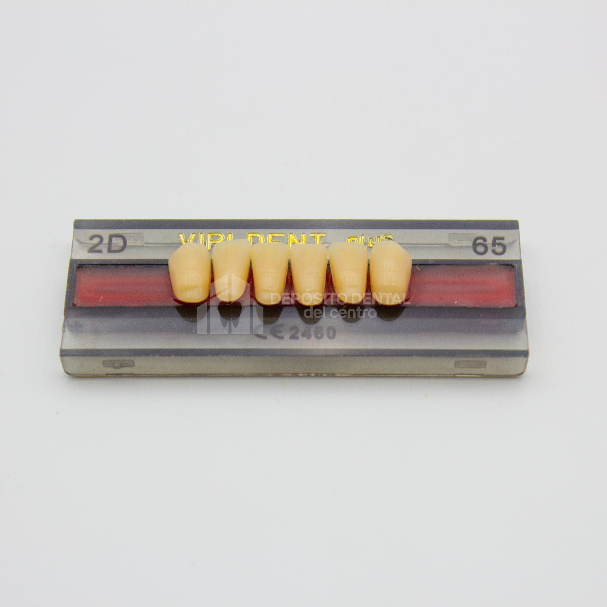 Tablilla de Dientes Vipi Dent Plus Anteriores Inferiores 2D 65