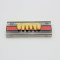 Tablilla de Dientes Vipi Dent Plus Anteriores Inferiores 2D 66