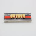 Tablilla de Dientes Vipi Dent Plus Anteriores Inferiores 3D 62