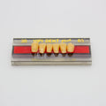 Tablilla de Dientes Vipi Dent Plus Anteriores Inferiores 3D 65