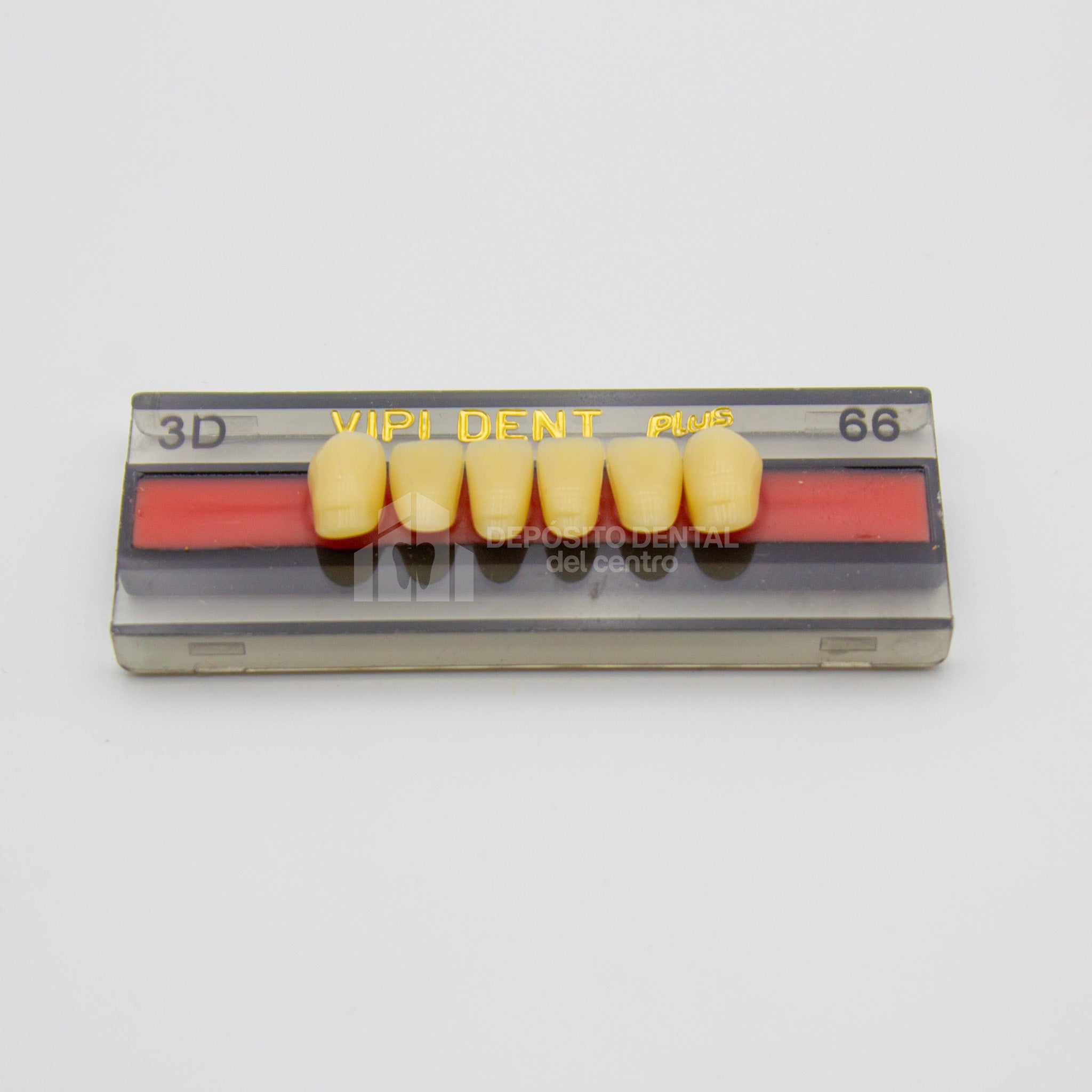 Tablilla de Dientes Vipi Dent Plus Anteriores Inferiores 3D 66