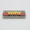Tablilla de Dientes Vipi Dent Plus Anteriores Inferiores 3D 77
