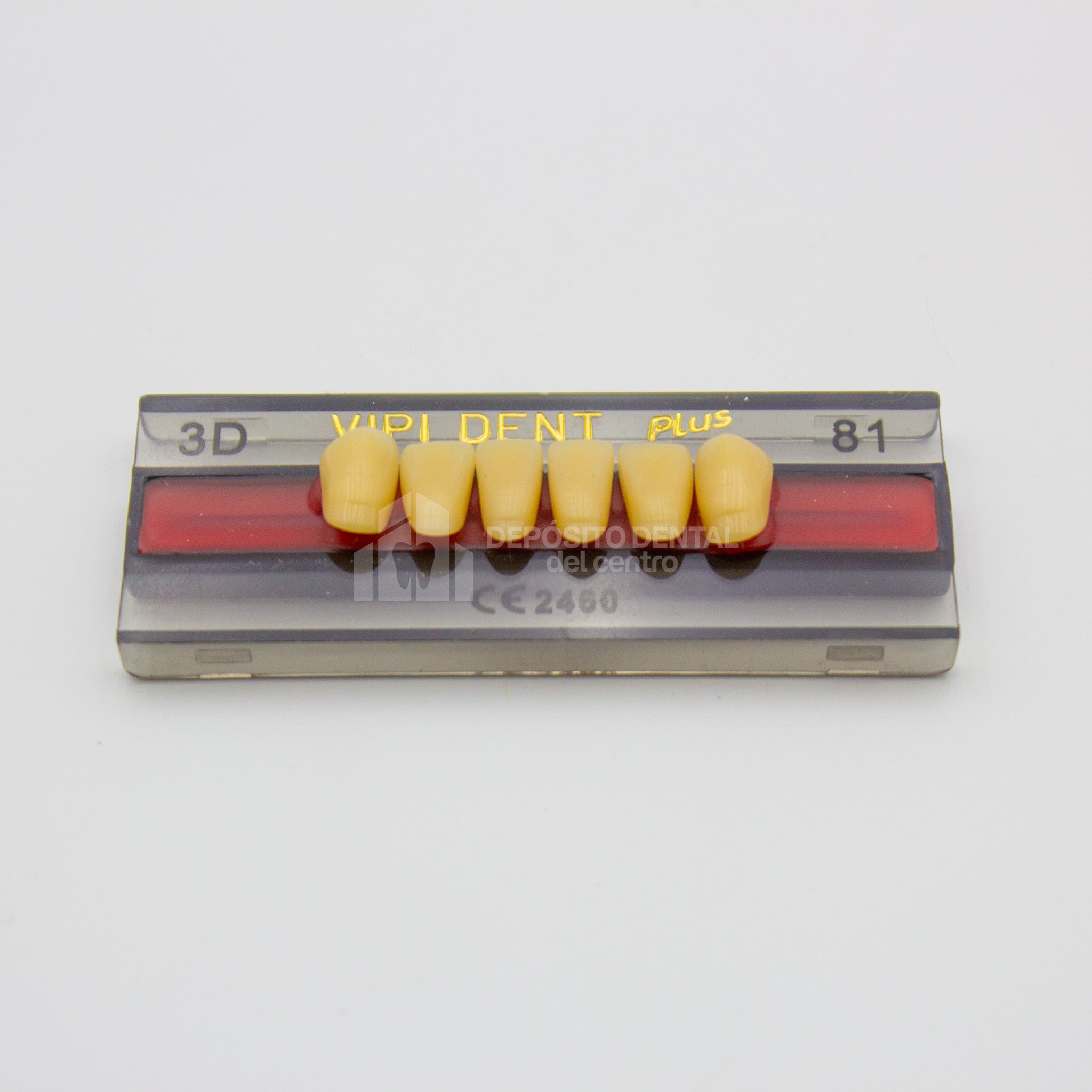 Tablilla de Dientes Vipi Dent Plus Anteriores Inferiores 3D 81