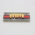 Tablilla de Dientes Vipi Dent Plus Anteriores Inferiores 3N 62