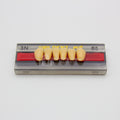Tablilla de Dientes Vipi Dent Plus Anteriores Inferiores 3N 65