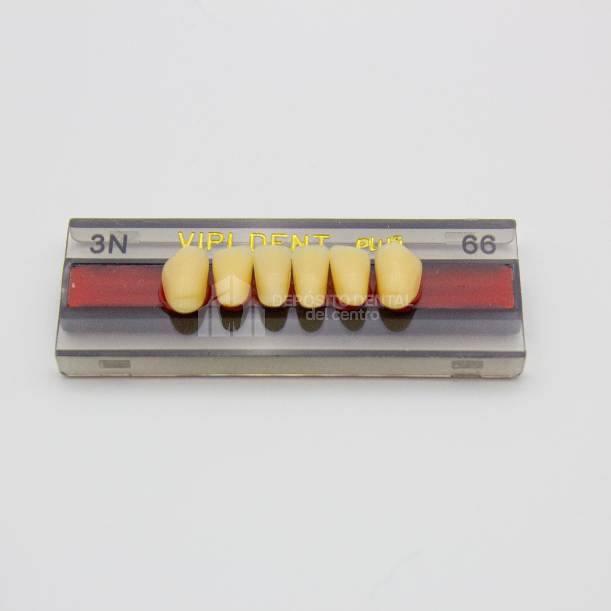 Tablilla de Dientes Vipi Dent Plus Anteriores Inferiores 3N 66