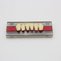 Tablilla de Dientes Vipi Dent Plus Anteriores Inferiores 3P 59