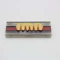 Tablilla de Dientes Vipi Dent Plus Anteriores Inferiores 3P 65