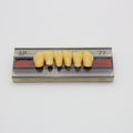 Tablilla de Dientes Vipi Dent Plus Anteriores Inferiores 3P 77