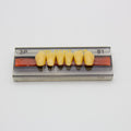 Tablilla de Dientes Vipi Dent Plus Anteriores Inferiores 3P 81