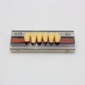 Tablilla de Dientes Vipi Dent Plus Anteriores Inferiores A25 62