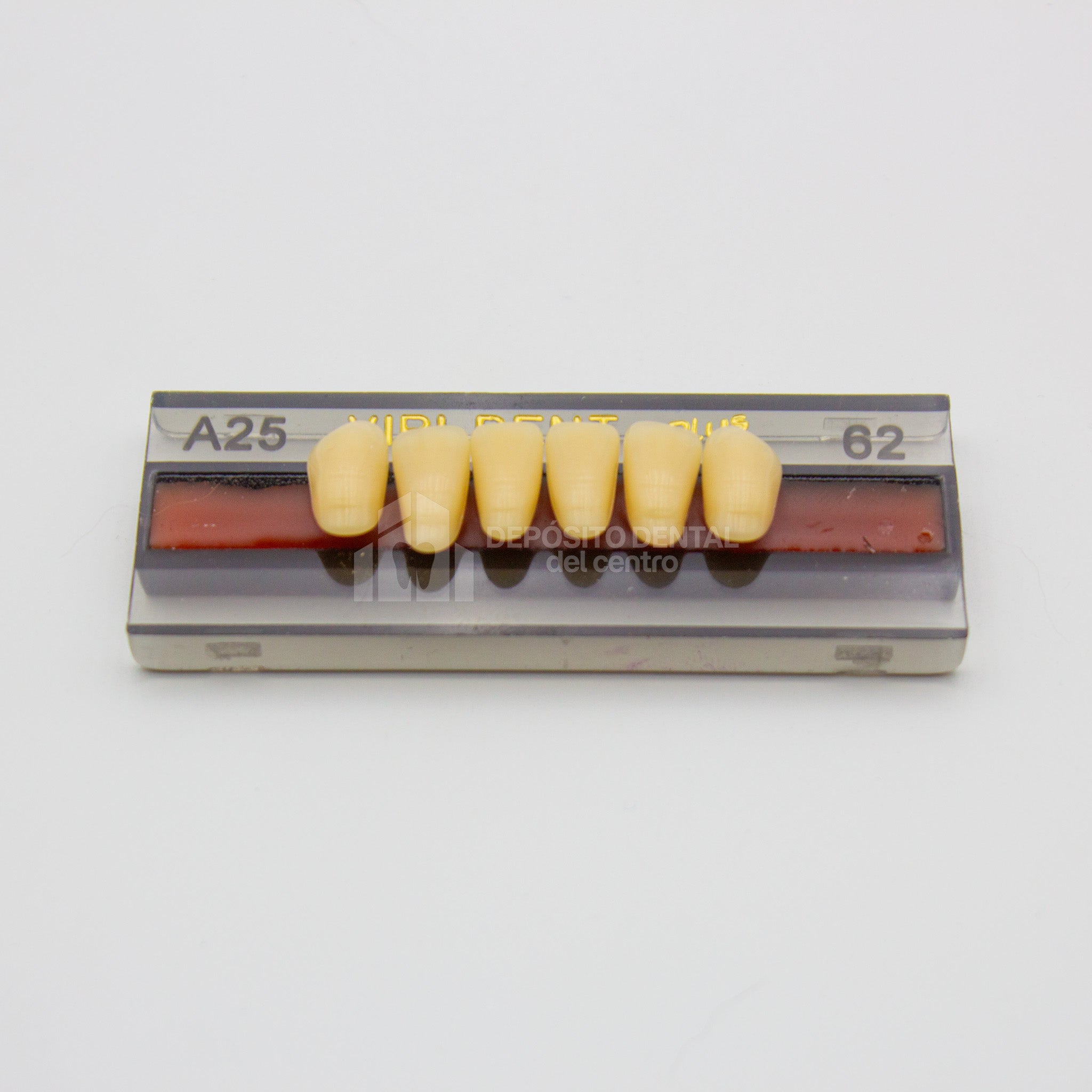 Tablilla de Dientes Vipi Dent Plus Anteriores Inferiores A25 62
