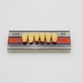 Tablilla de Dientes Vipi Dent Plus Anteriores Inferiores A25 66