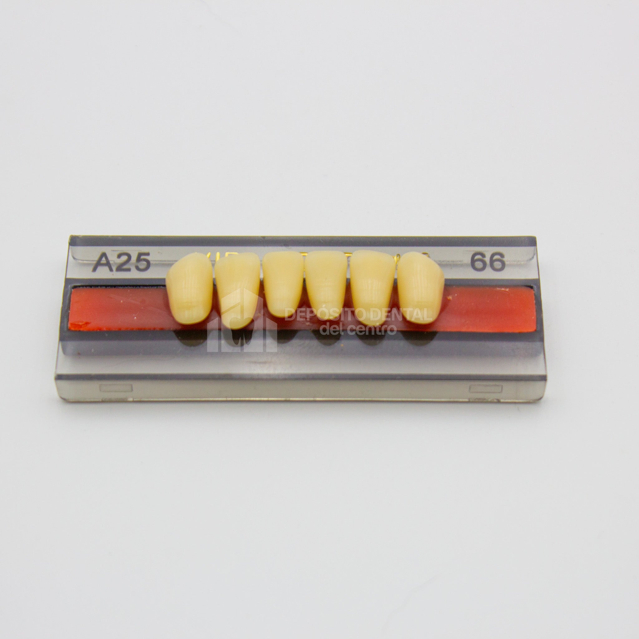 Tablilla de Dientes Vipi Dent Plus Anteriores Inferiores A25 66