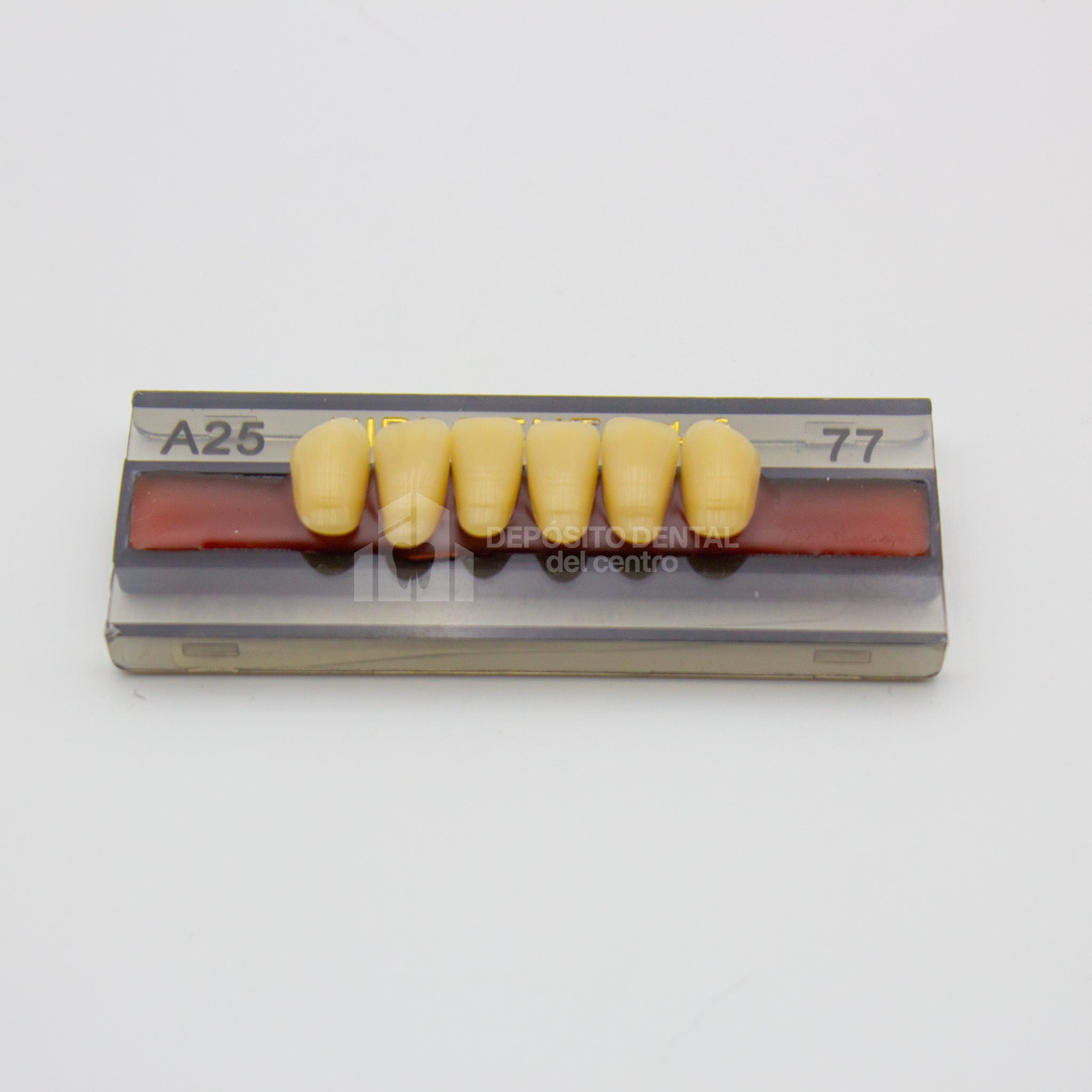 Tablilla de Dientes Vipi Dent Plus Anteriores Inferiores A25 77