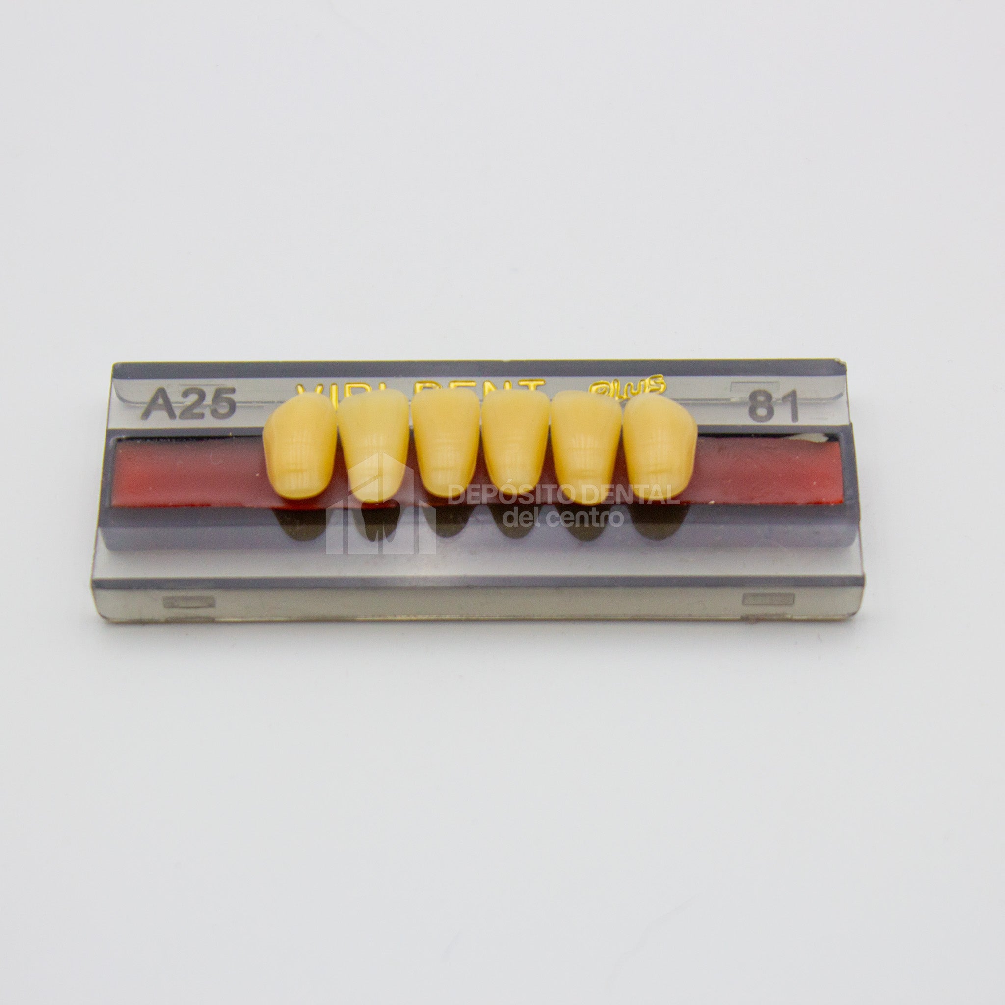 Tablilla de Dientes Vipi Dent Plus Anteriores Inferiores A25 81