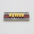 Tablilla de Dientes Vipi Dent Plus Anteriores Inferiores A26 66