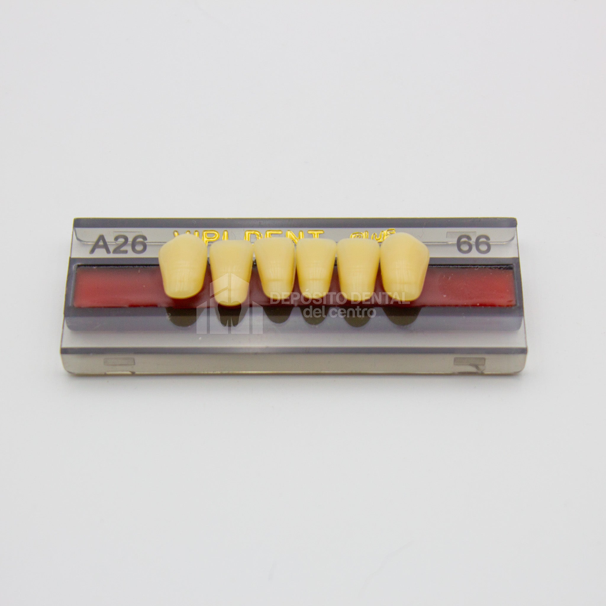 Tablilla de Dientes Vipi Dent Plus Anteriores Inferiores A26 66